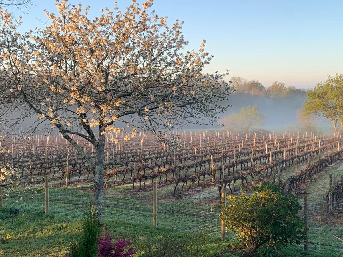 Lauberge De Nogaro Caupenne-d'Armagnac ภายนอก รูปภาพ